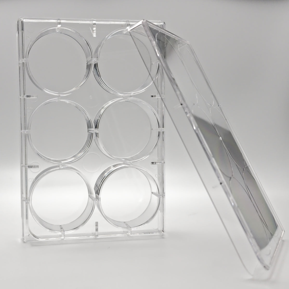 6-Well TC-Treated Sterile Cell Culture Plates