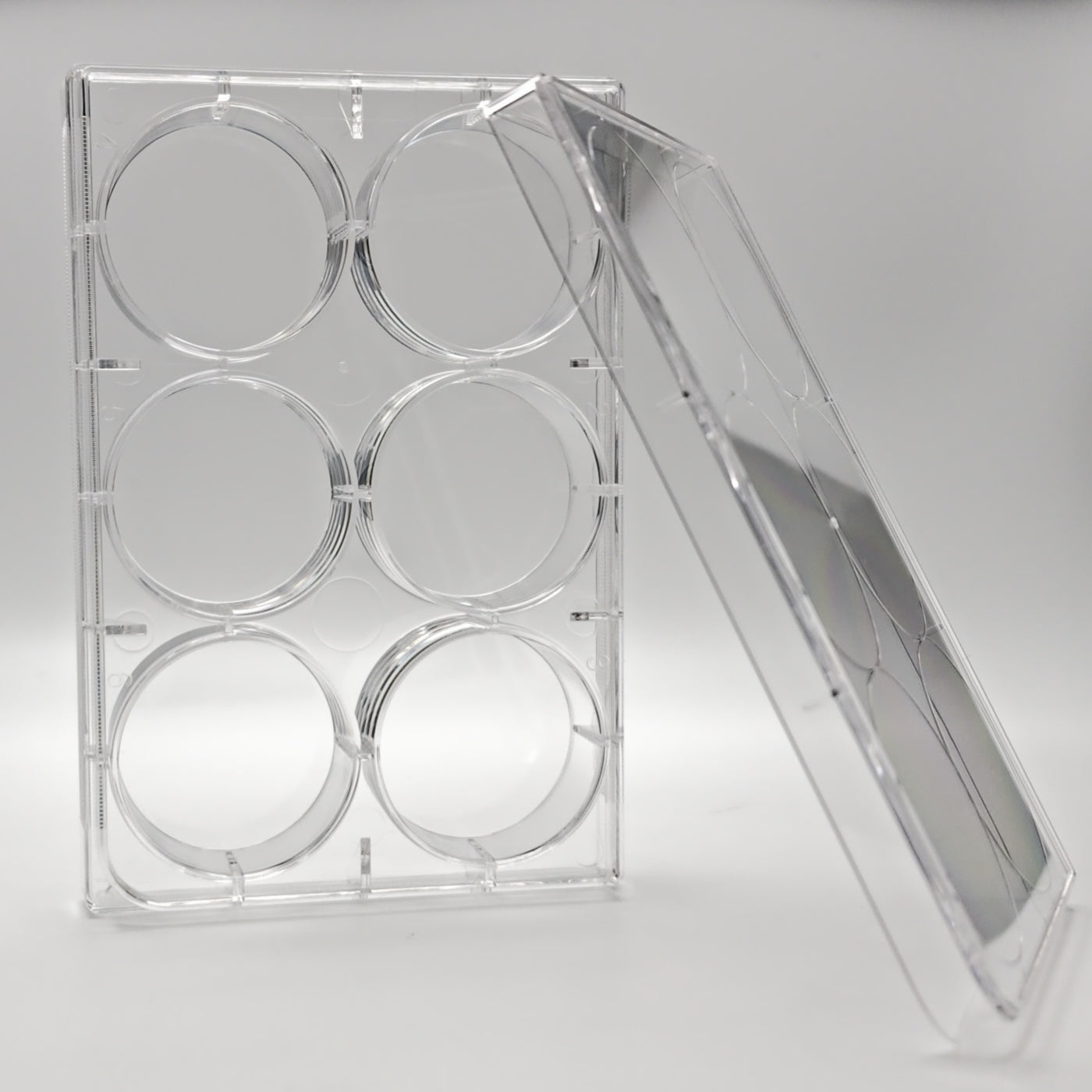 6-Well TC-Treated Sterile Cell Culture Plates