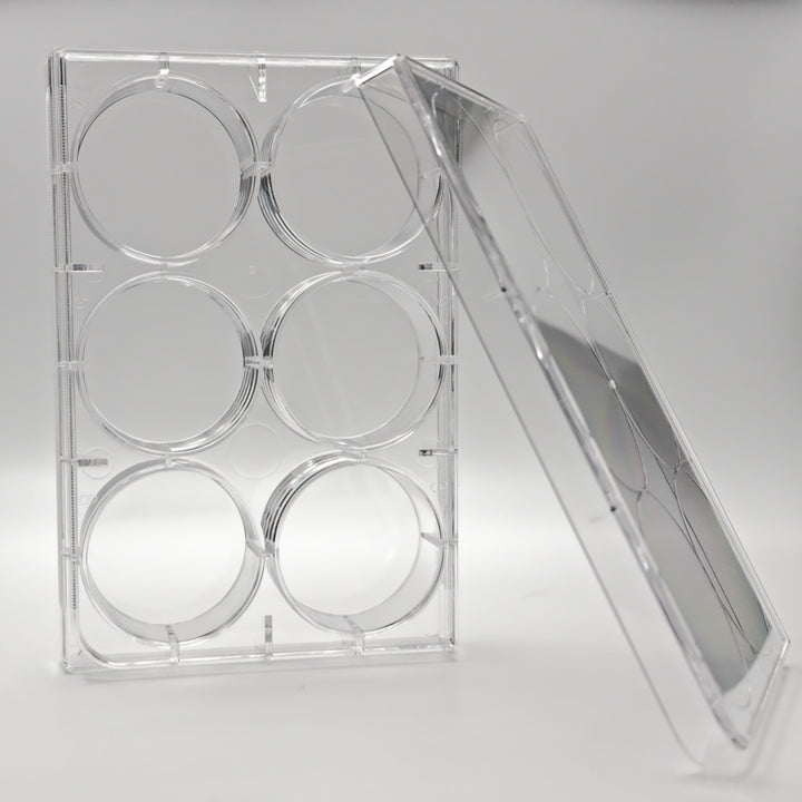 6-Well TC-Treated Sterile Cell Culture Plate