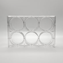 6-Well TC-Treated Sterile Cell Culture Plates
