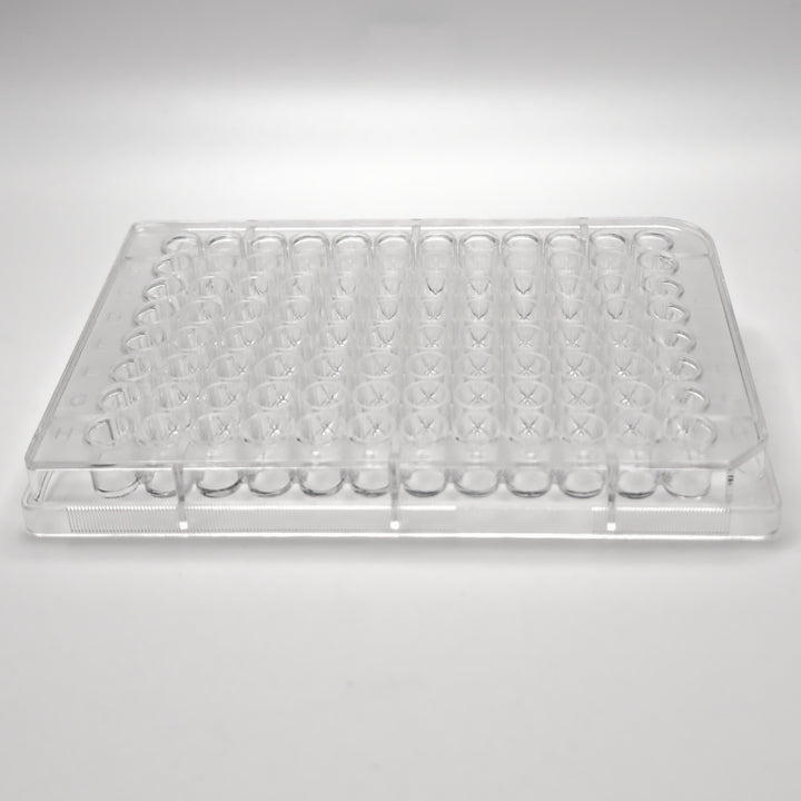 Side view of a clear 96-well cell culture plate showing the well depth