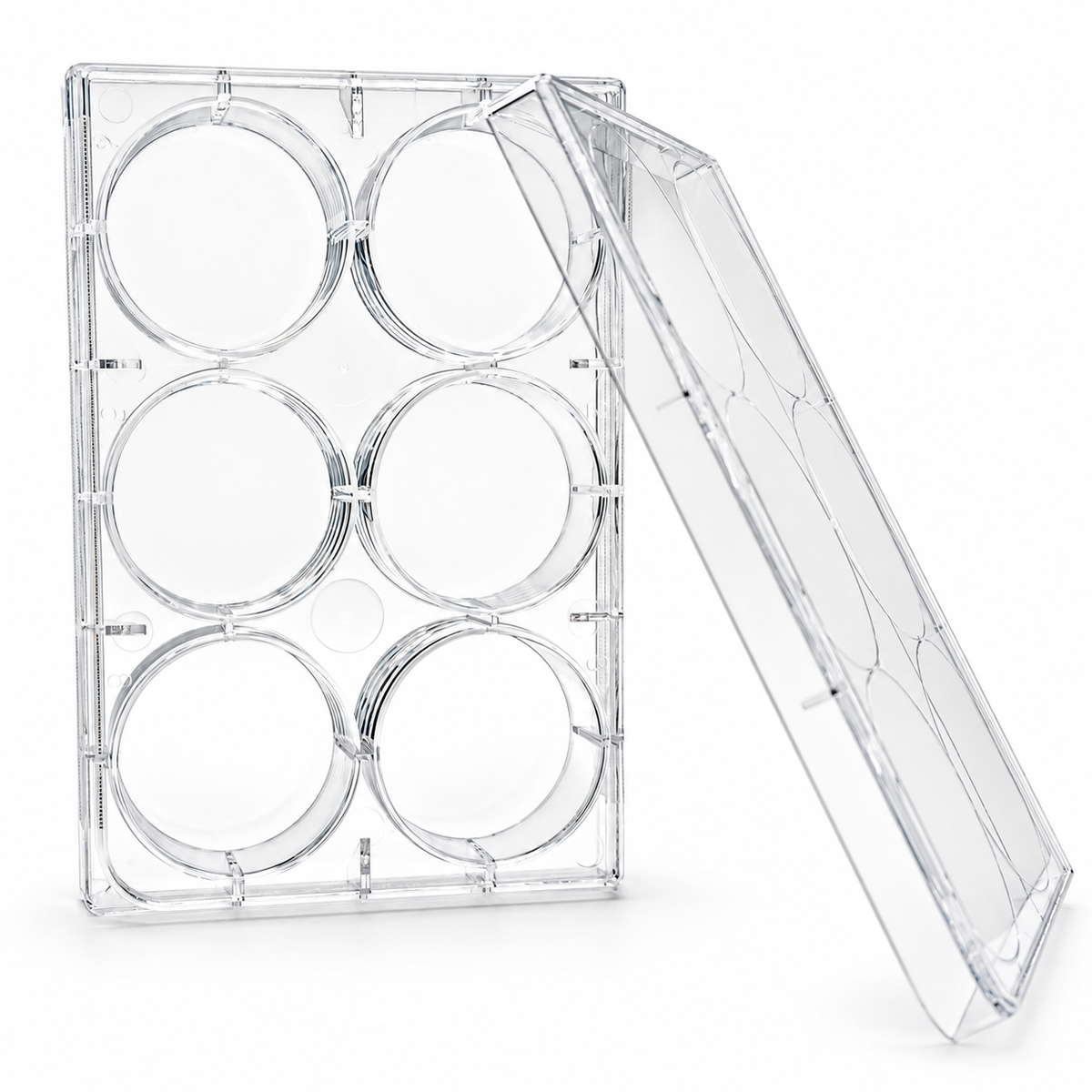6-Well TC-Treated Sterile Cell Culture Plate on a clean white background