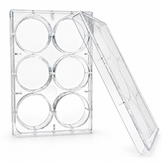 6-Well TC-Treated Sterile Cell Culture Plate on a clean white background