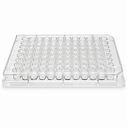 96-Well TC-Treated Sterile Cell Culture Plate on a clean white background